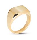 Anello uomo dorato liscio rettangolare misura 28 Liu Jo MLJ482M28